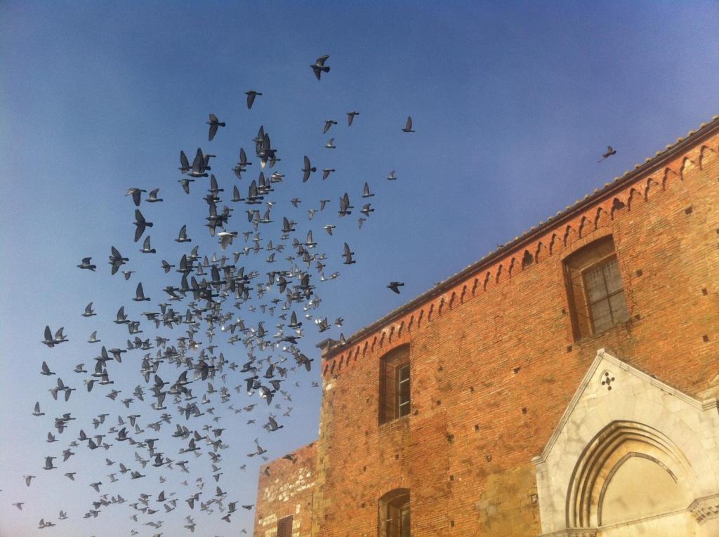 La Locanda Di San Francesco Montepulciano Stazione Стая снимка